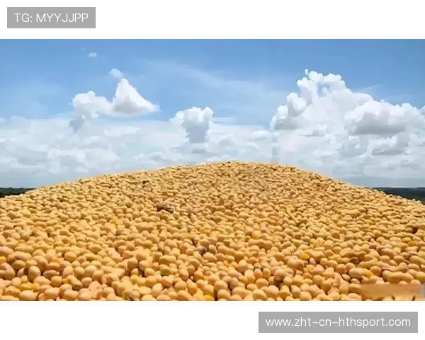 商务部回应大豆贸易,中美省州经贸合作不可替代,大豆贸易状况及未来趋势 商务部回应大豆贸易,中美省州经贸合作不可替代,大豆贸易状况及未来趋势