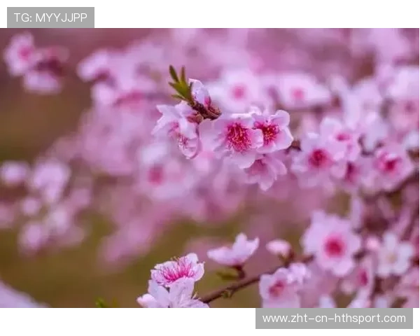 Wei抢龙成功率惊人⚡